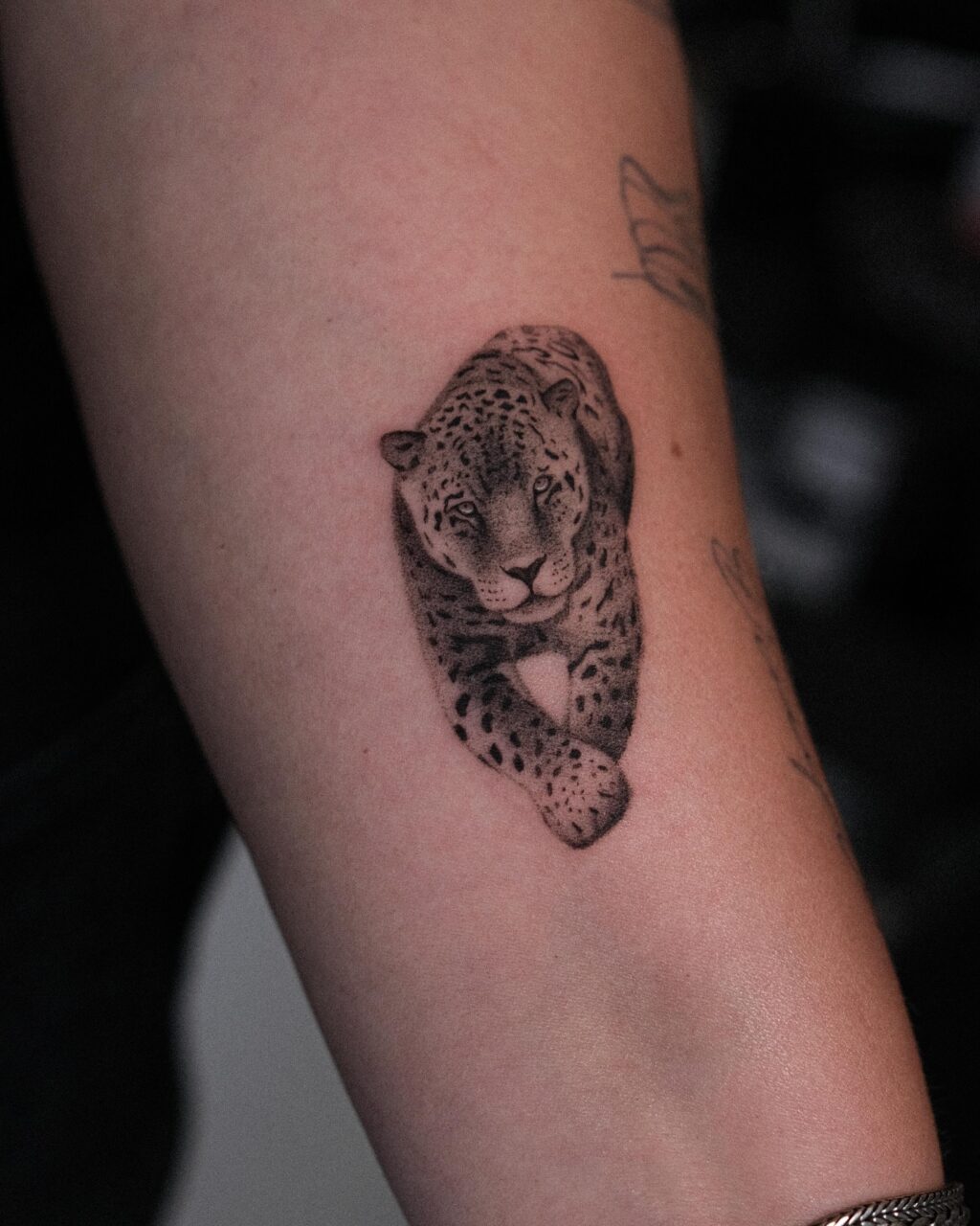 6cm Panthera Onca

Done at @29level in Ede 🇳🇱 

For bookings, link in my biography.

#ede #edecity #netherland #netherlandstattoo #netherlandstattooartist #microrealismotattoo #microrealism #panthera #pantheraonca #pantheraoncatattoo #jaguartattoo #microjaguar
