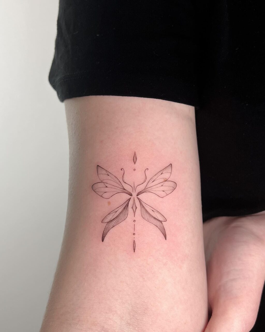 Some fineline tattoos I recently did, let me know wich one is your favorite! 👇🏽

All done at : @sorrymamatattoosutrecht